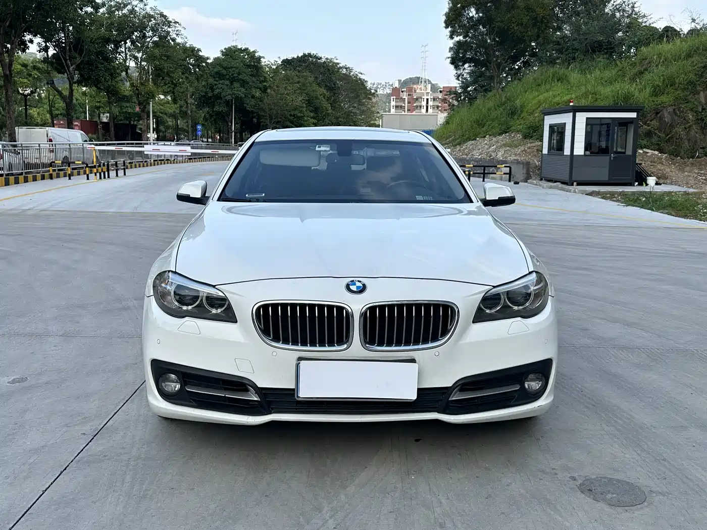 BMW 5 Series 2014 530Li Leading фото 2