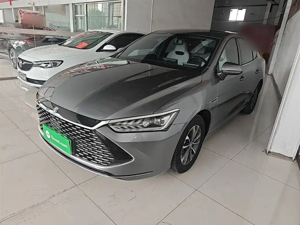 BYD Qin PLUS 2023 Champion Edition DM-i 55KM Leading фото 2