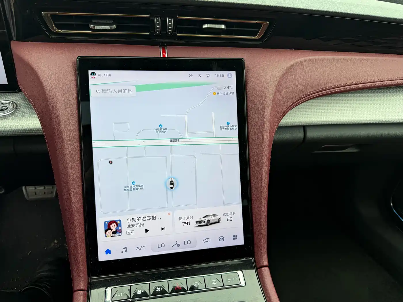Hongqi H5 2024 2.0T Automatic Smart Connect Flag Leader Edition фото 10