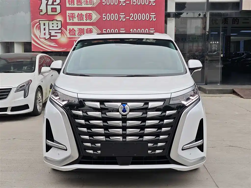 Denza D9 2022 DM-i 1040 Premium фото 3