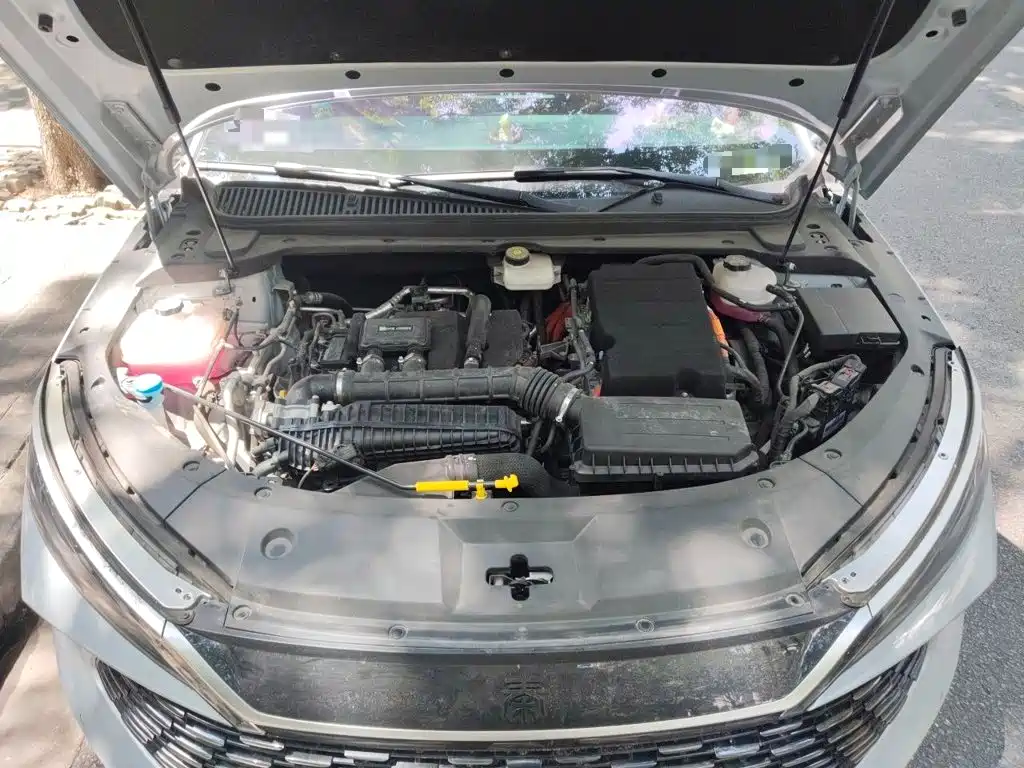 BYD Qin L 2024 2024 DM-i 120KM Leading