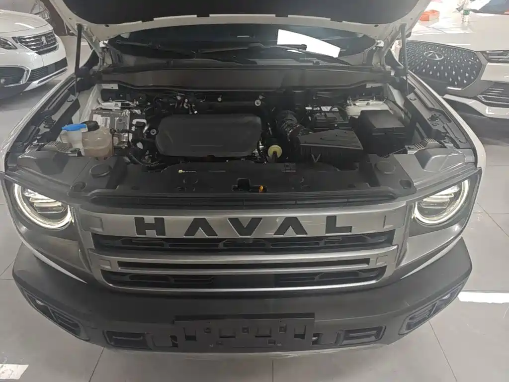 Haval Big Dog 2025 2024 1.5T DCT Border Collie Edition