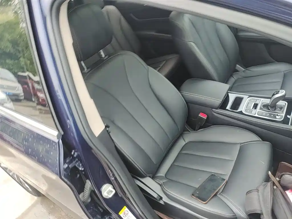 BYD Song MAX 2019 1.5T Auto Smart Connected Sunroof 7-seater China VI фото 25