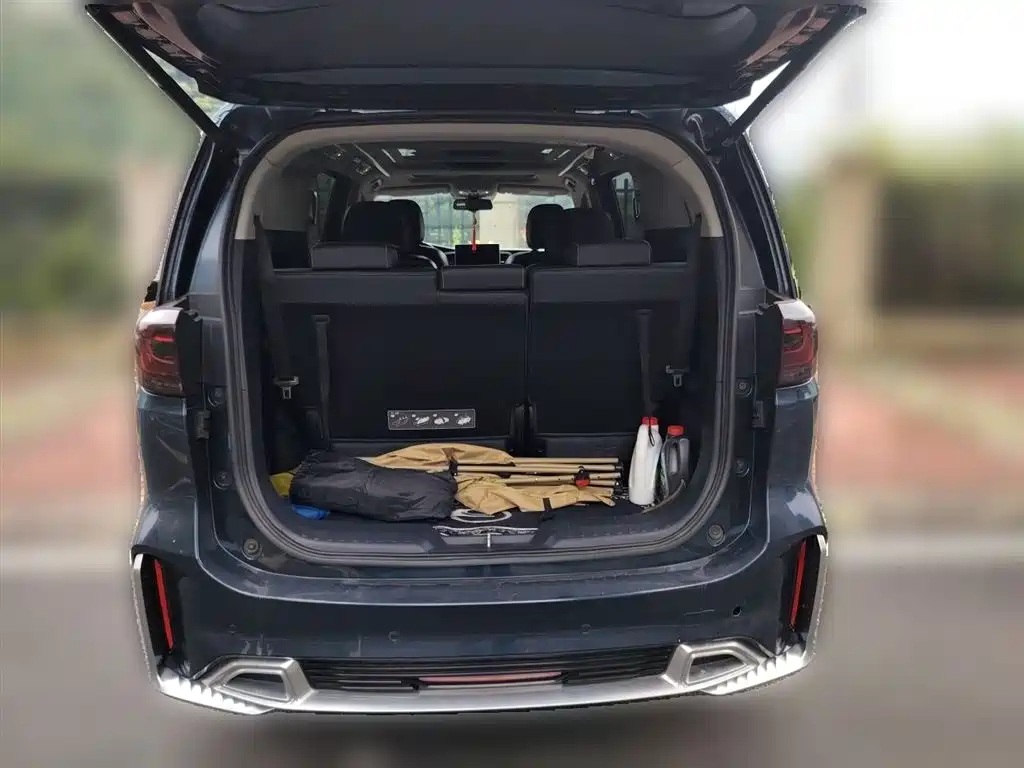 GAC Trumpchi Trumpchi M8 2019 320T Ultimate Edition фото 10