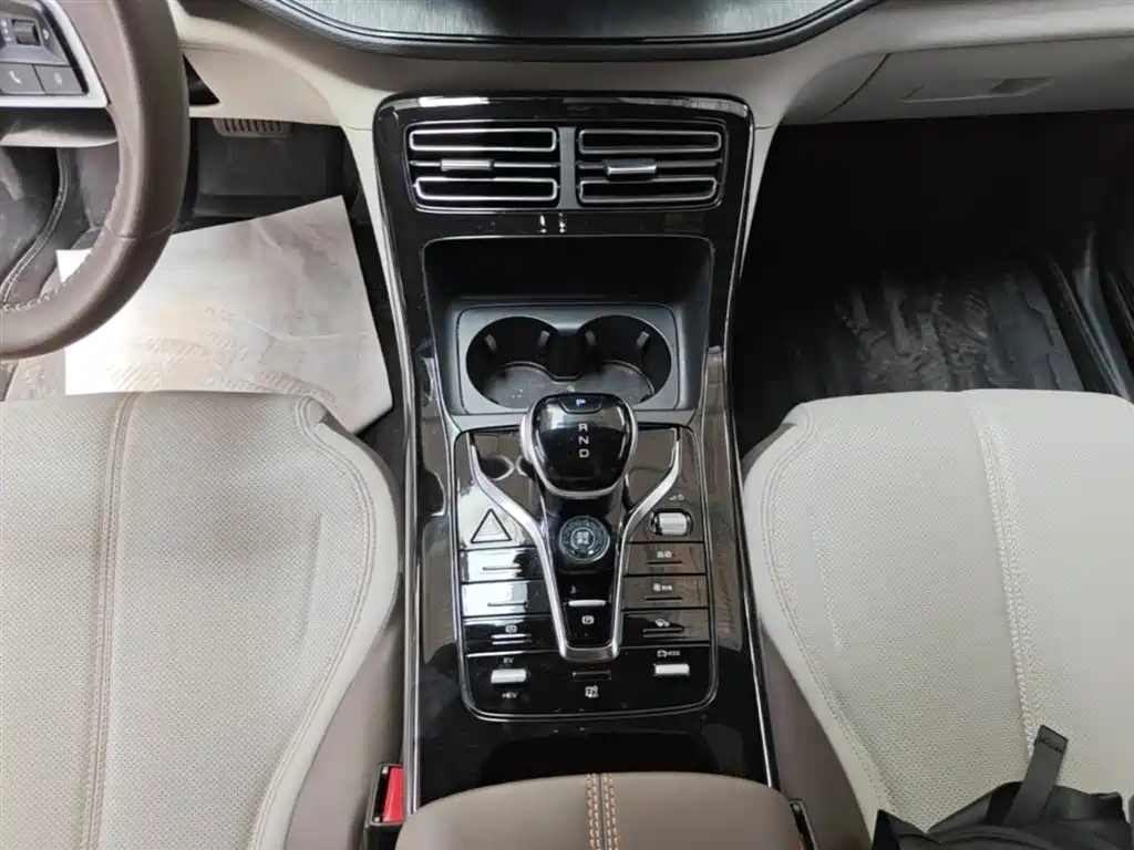 BYD Qin PLUS 2021 DM-i 55KM Premium фото 14