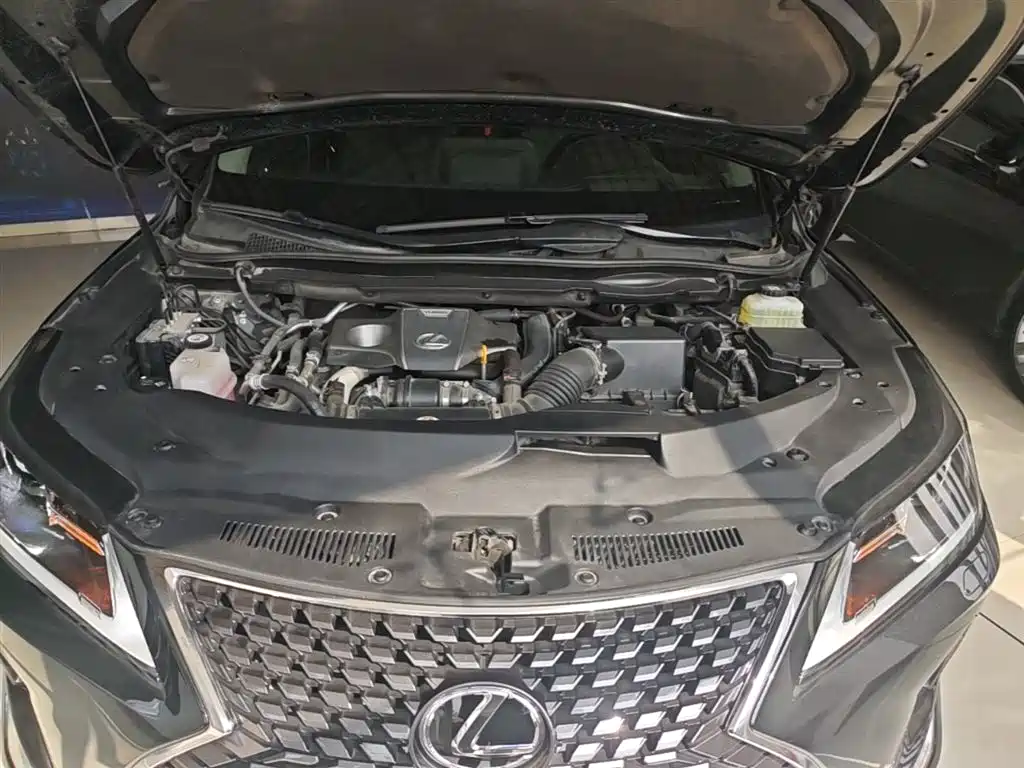 Lexus RX 2020 Facelift 300 2WD Elite Edition фото 20