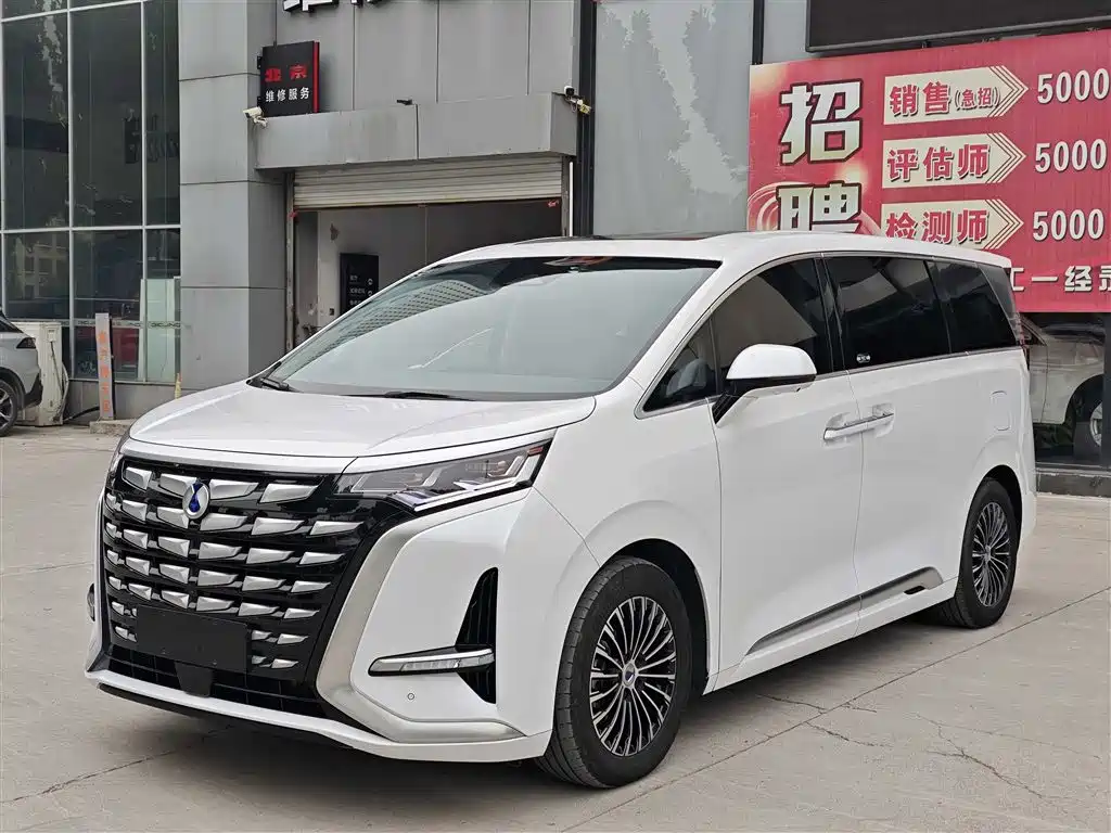 Denza D9 2022 DM-i 1040 Premium фото 2
