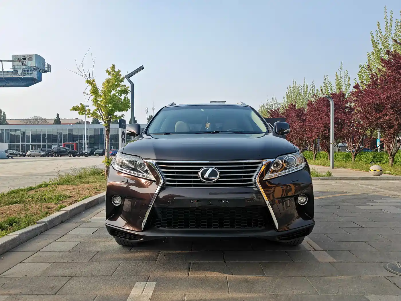 Lexus RX Classic 2013 270 Elegance фото 2