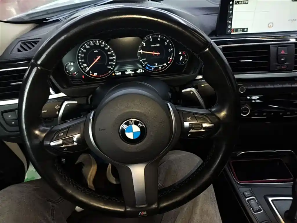 BMW 3 Series 2019 320Li M Sport Package фото 11