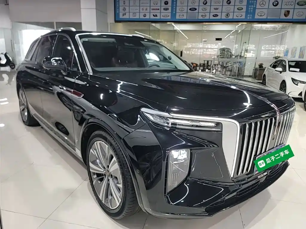Hongqi E-HS9 2022 660km Qi Chang Edition (6-seater) фото 4
