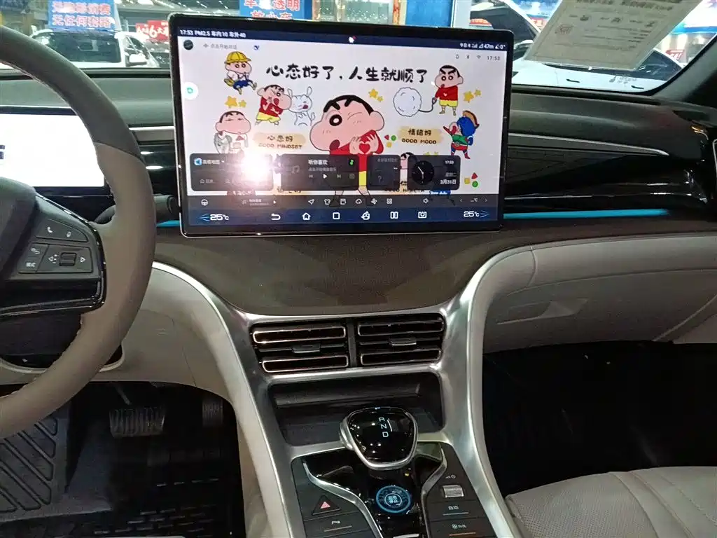 BYD Song Pro New Energy 2023 Champion Edition DM-i 110KM Excellence фото 13