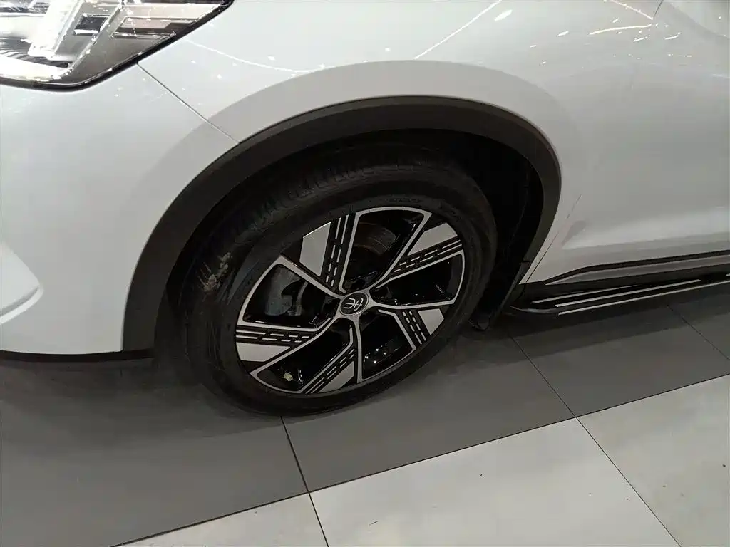 BYD Song Pro New Energy 2023 Champion Edition DM-i 110KM Excellence фото 23