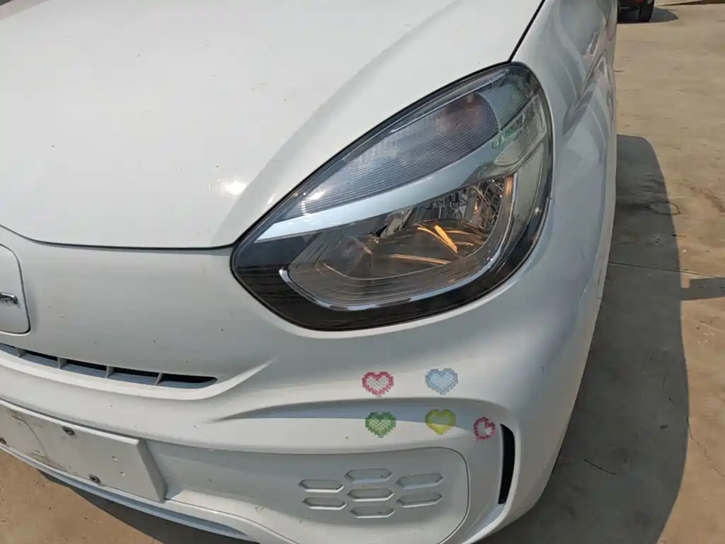 Roewe Kaiwei CLEVER 2023 2022 311km Vitality Bobo Edition