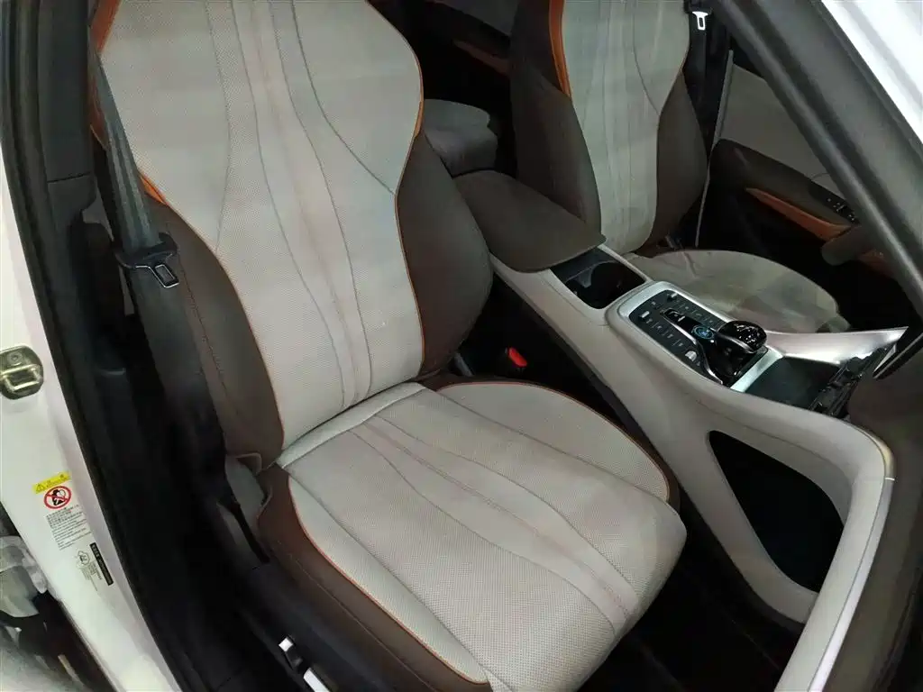 BYD Song Pro New Energy 2023 Champion Edition DM-i 110KM Excellence фото 25