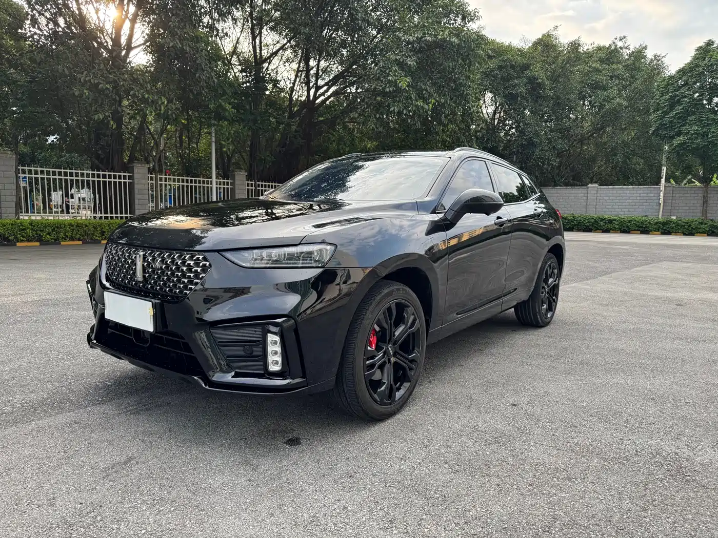 WEY VV7 2020 2020 Model 2.0T Flagship