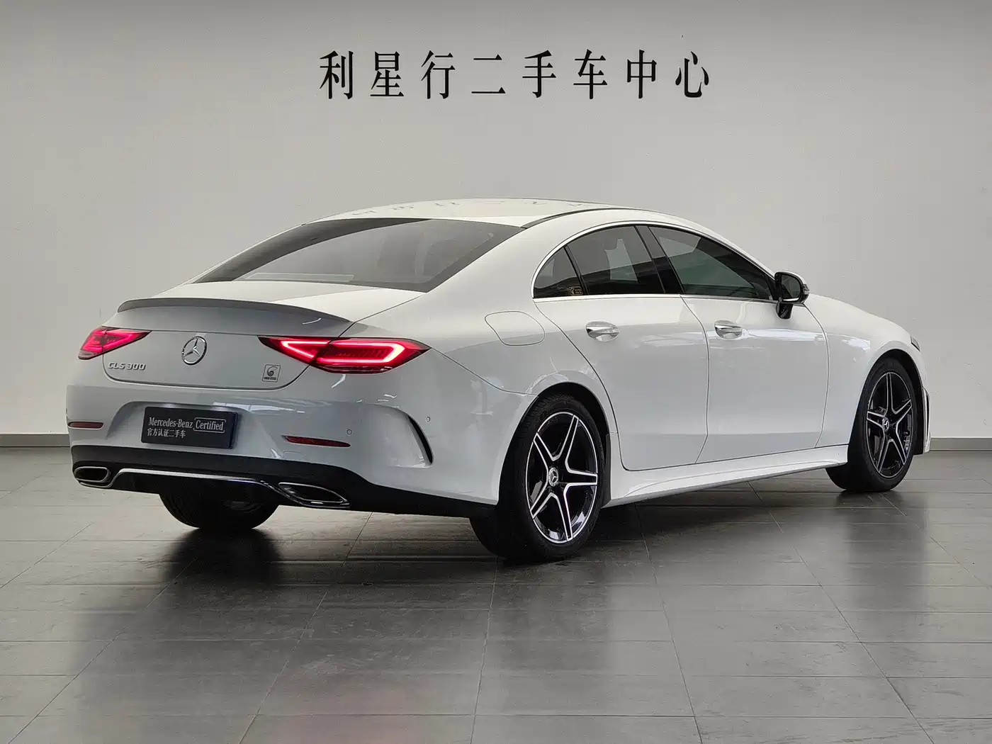 Mercedes-Benz CLS 2022 CLS 300 Luxury фото 2