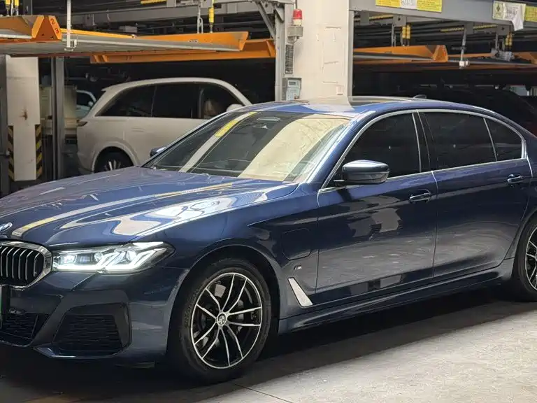 BMW 5 Series New Energy 2021