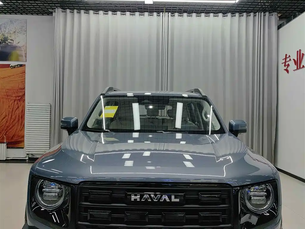 Фото 2 - Haval Dargo