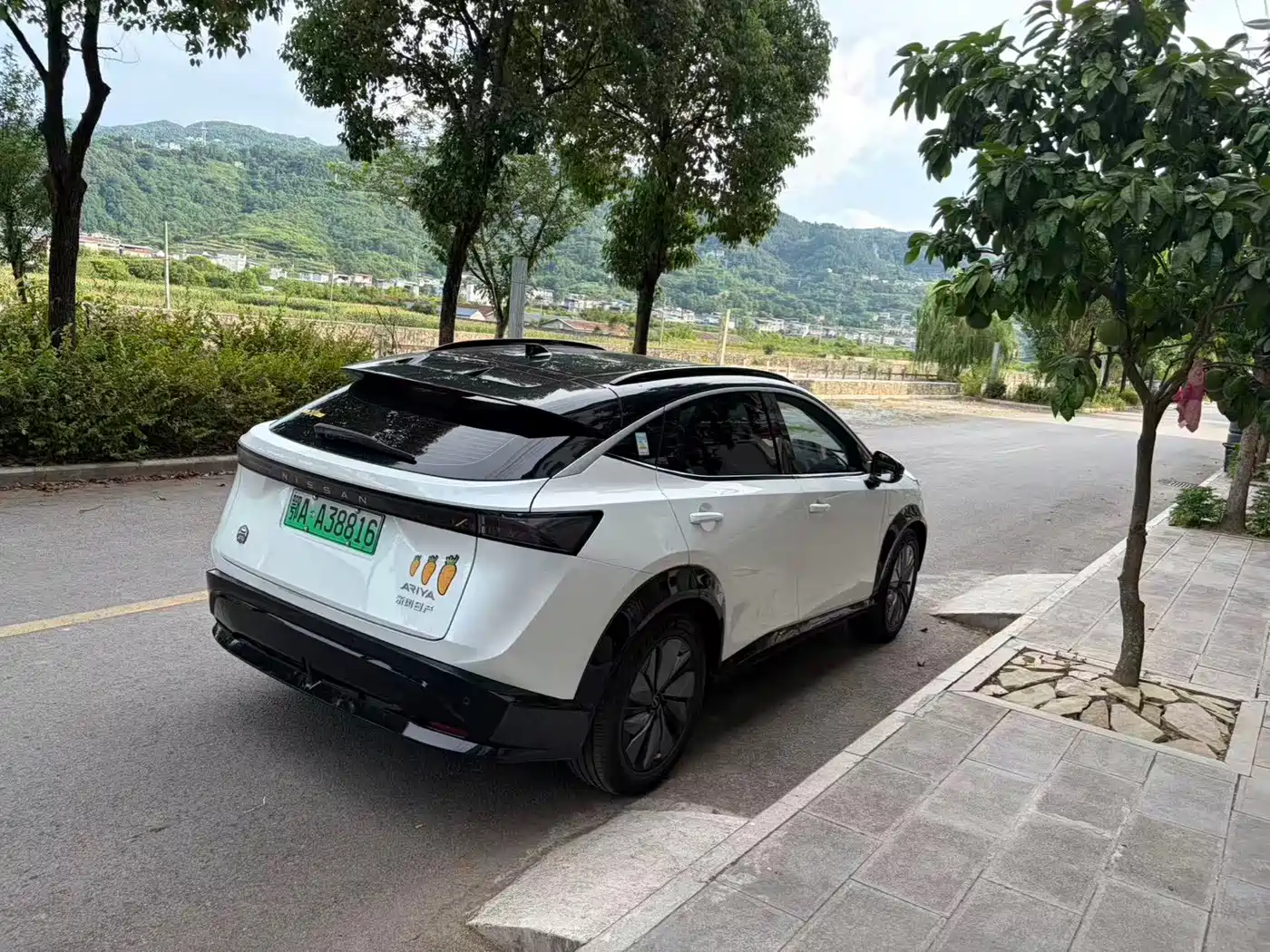 Nissan ARIYA 2023 2022 2WD Long Range Top Edition