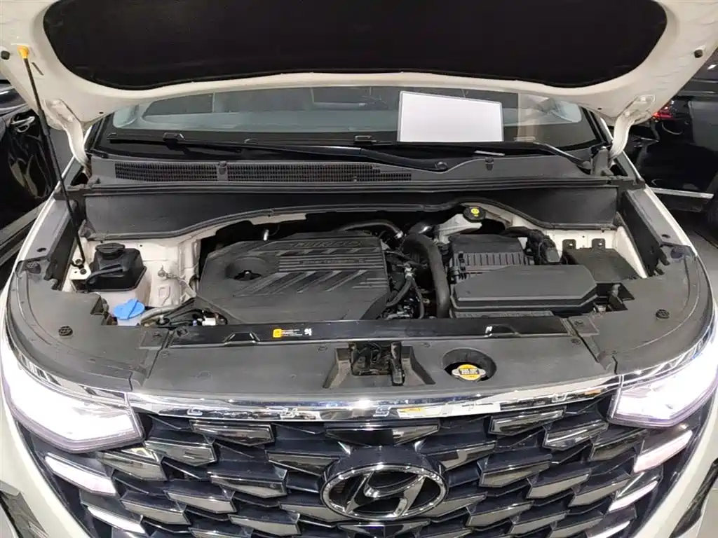 Фото 20 - Hyundai Custo