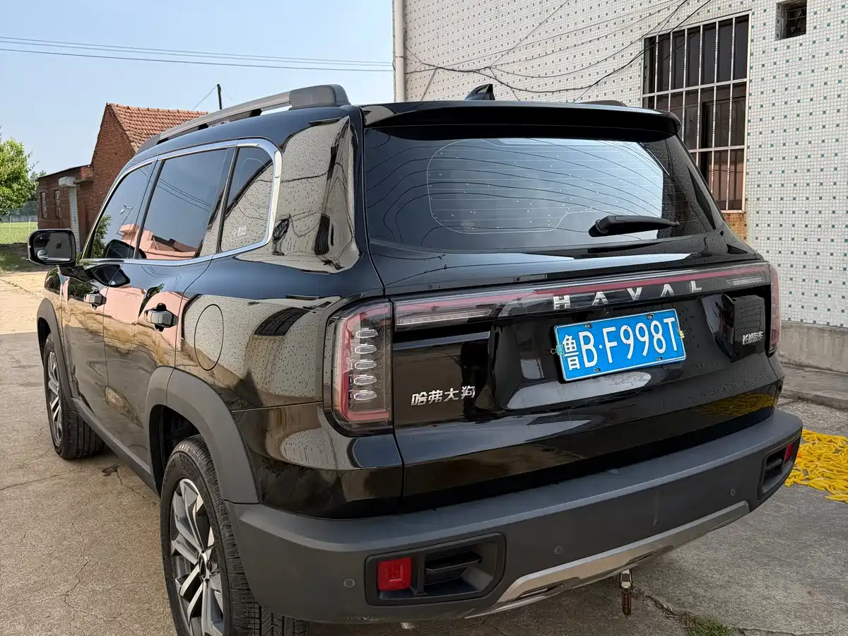HAVAL BIG DOG