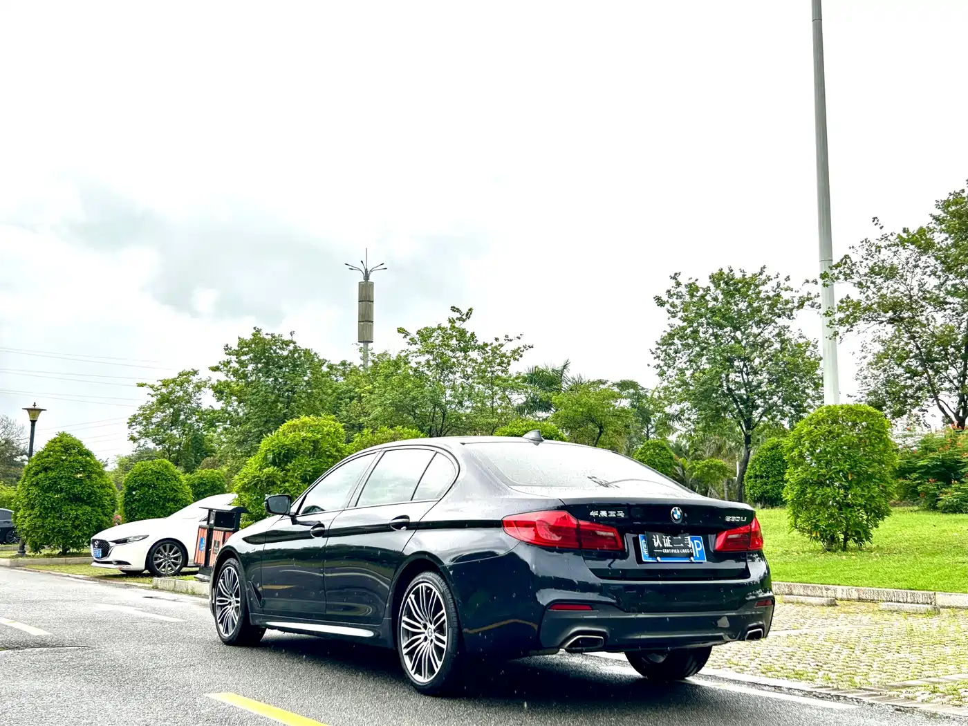 BMW 5 Series 2019 530Li Leading M Sport Package фото 6