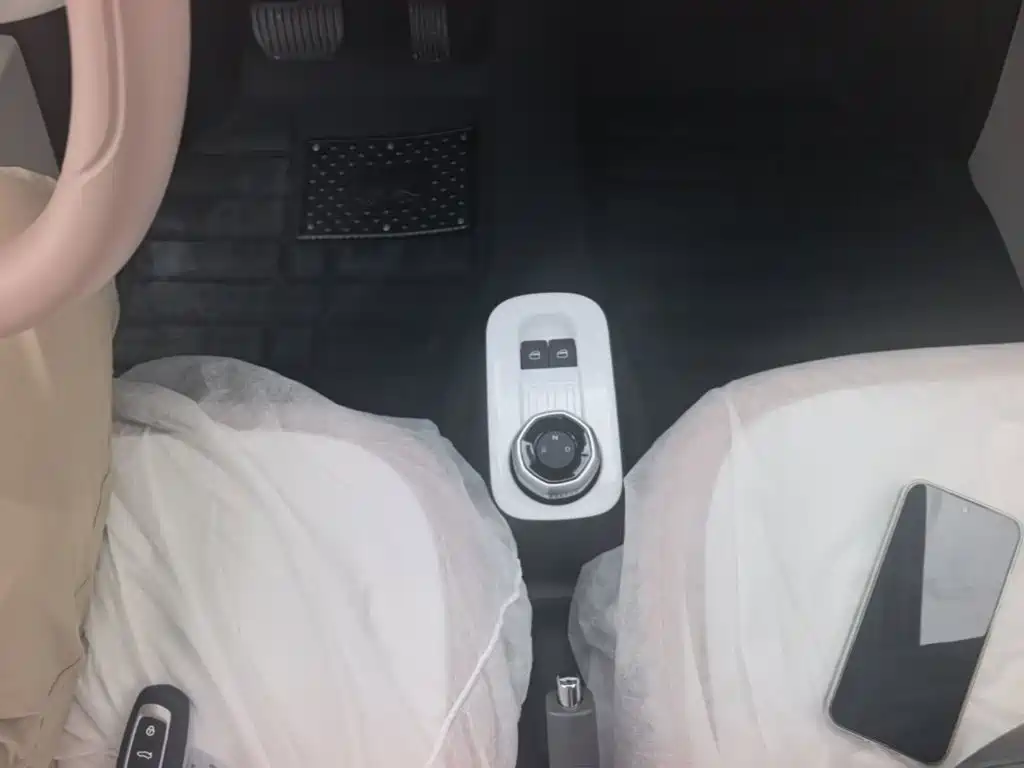 Geely Galaxy Panda 2026 2025 Panda mini 210km Vitality Bear