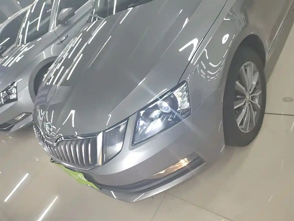 Škoda Octavia 2018 1.6L Automatic Comfort фото 24