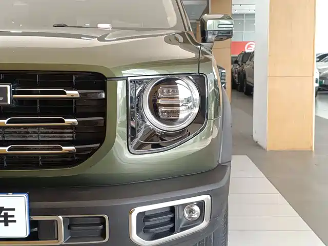 Haval Big Dog 2021 1.5T DCT 2WD Husky Edition — фото 4