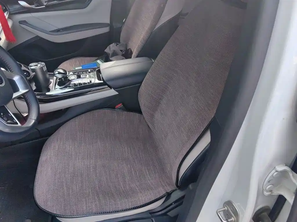 BYD Qin PLUS 2021 DM-i 55KM Premium фото 12