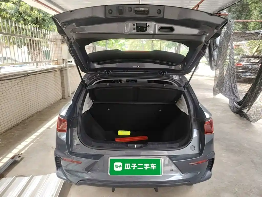 BYD e2 2021 2020 Upgraded Long Range Luxury