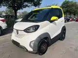 Фото 1 - Baojun E100