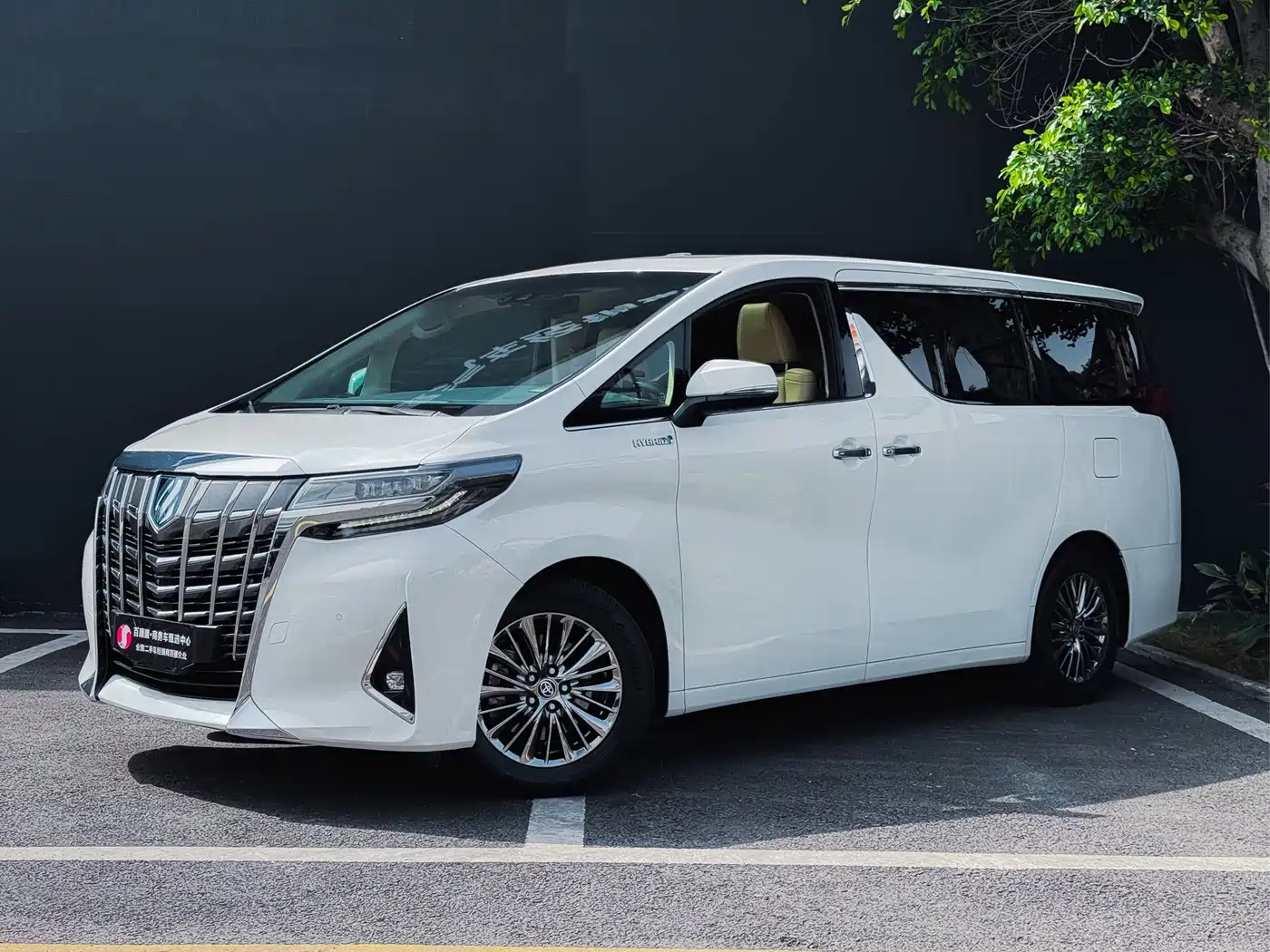 Toyota Alphard 2019 Hybrid 2.5L Premium Edition фото 2