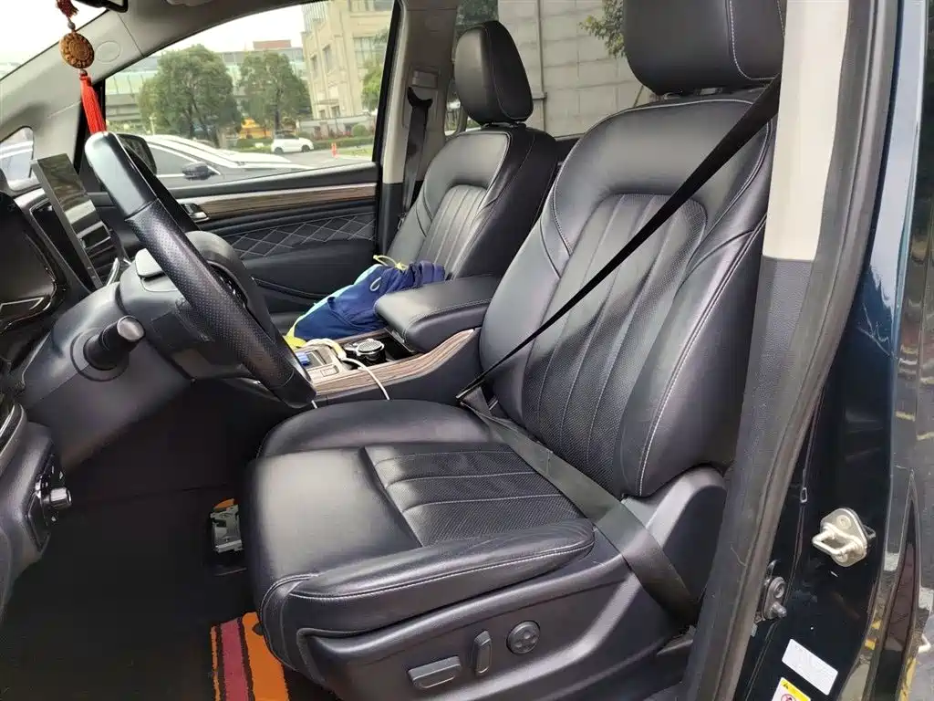 GAC Trumpchi Trumpchi M8 2019 320T Ultimate Edition фото 8