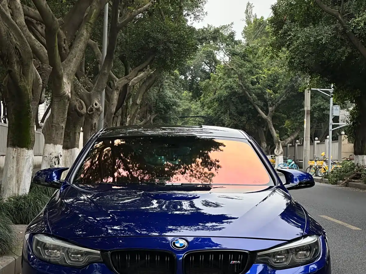 BMW M4 2018 M4 Convertible Coupe Fans Limited Edition фото 17