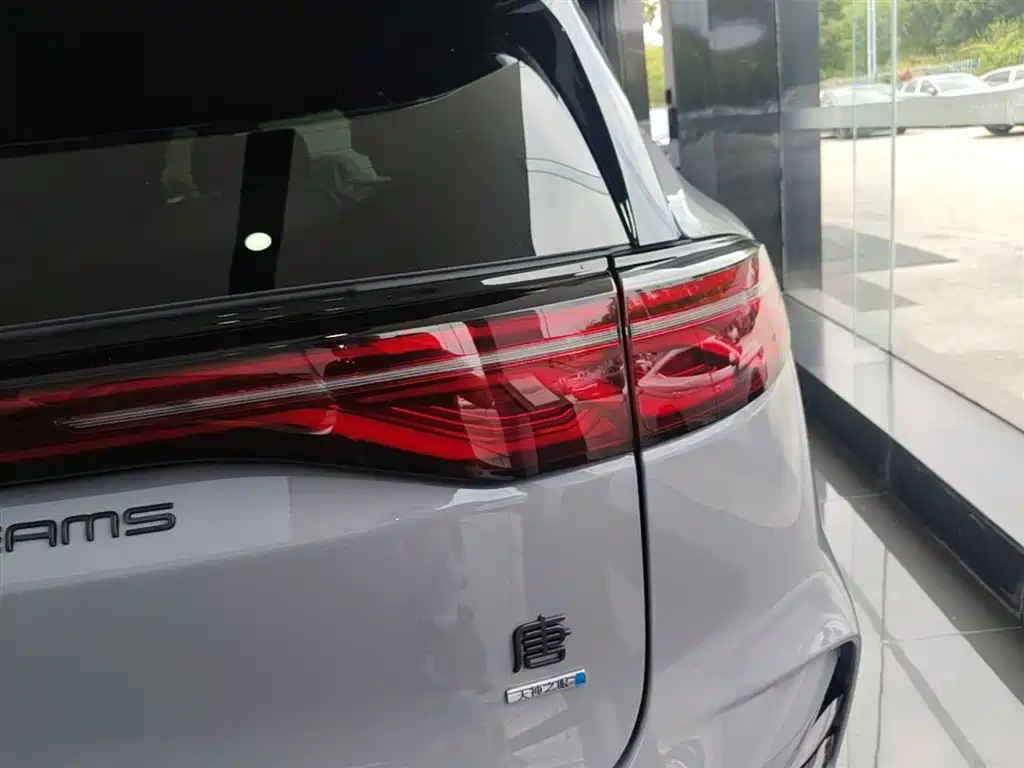BYD Tang New Energy 2025 Smart Driving Edition DM-i 115KM Flagship фото 8