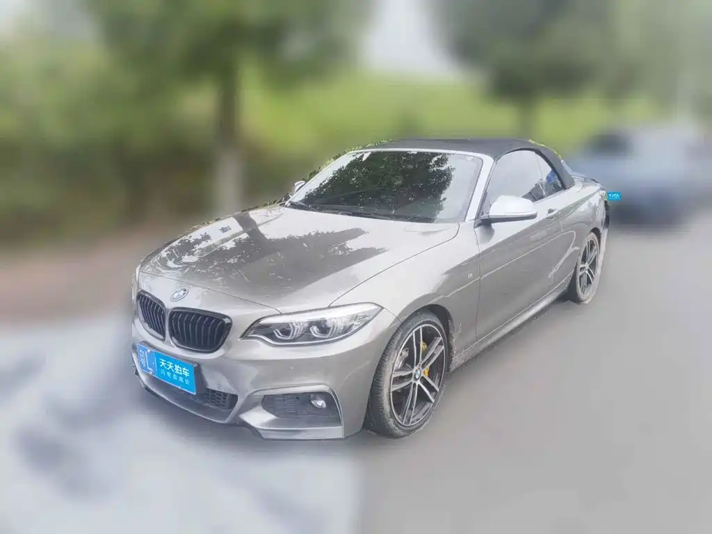 BMW 2 Series (Import) 2019 — пригон из Китая