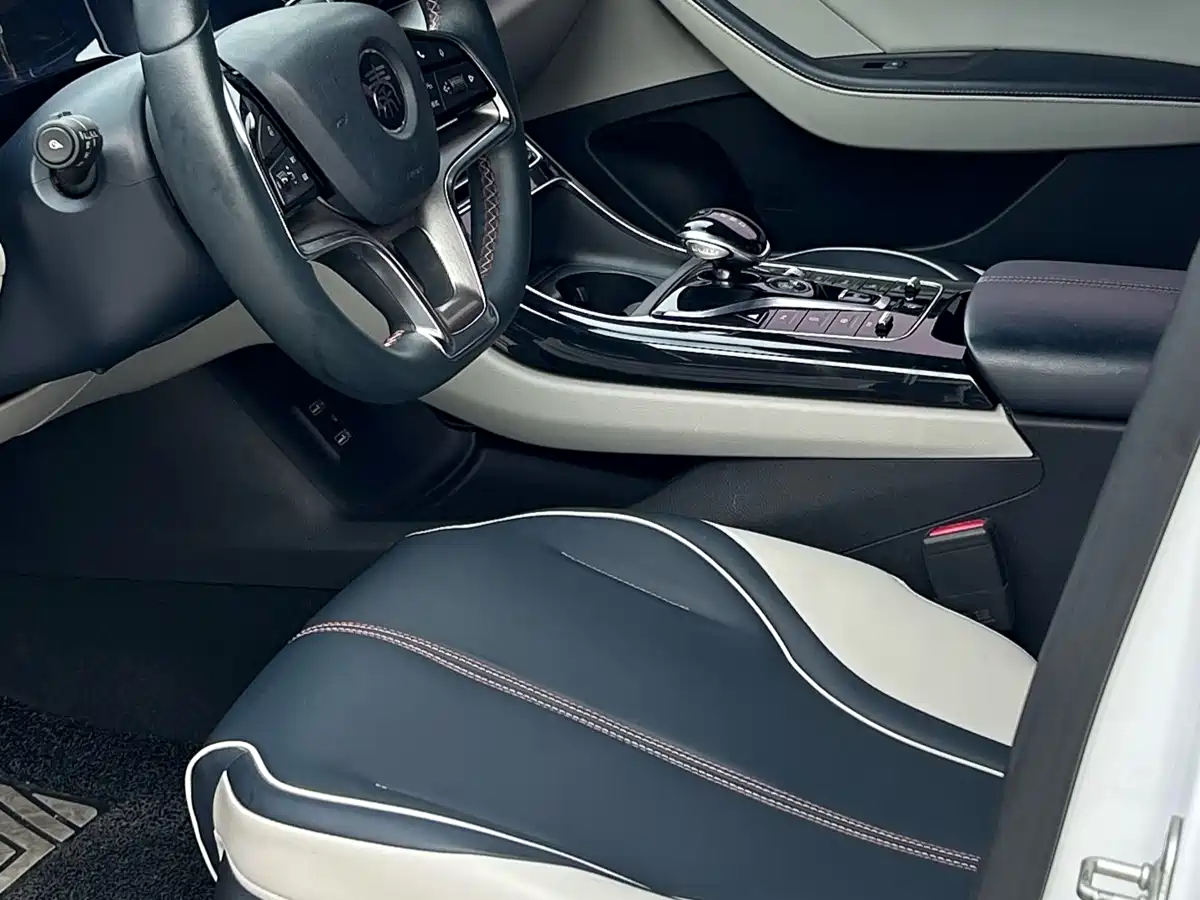 Фото 4 - BYD Qin PLUS