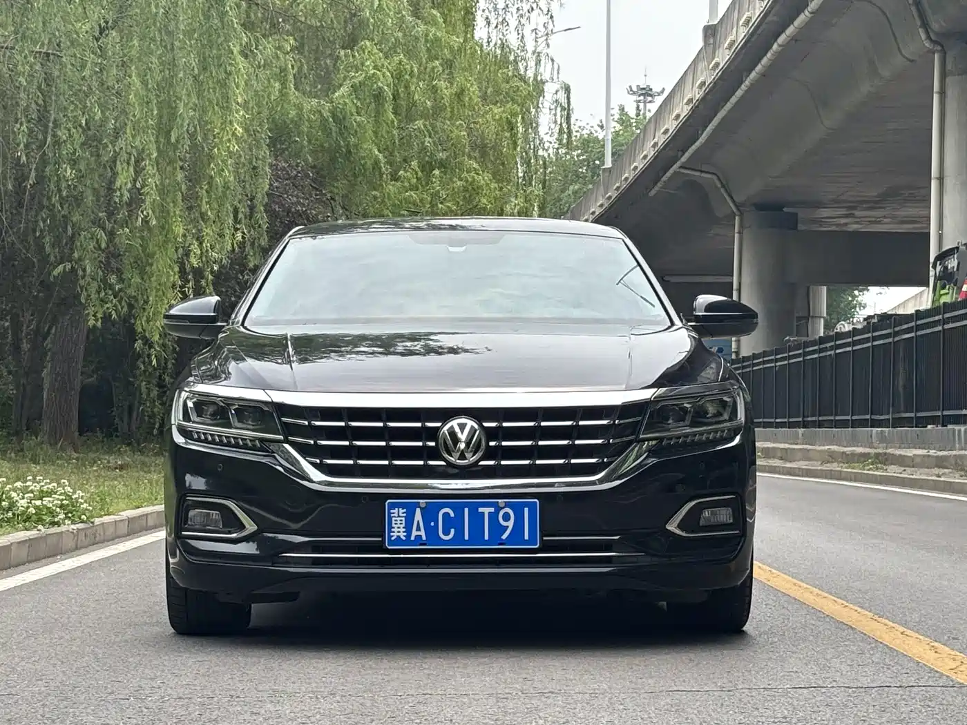 Volkswagen Passat 2019 330TSI Luxury Edition China VI фото 2