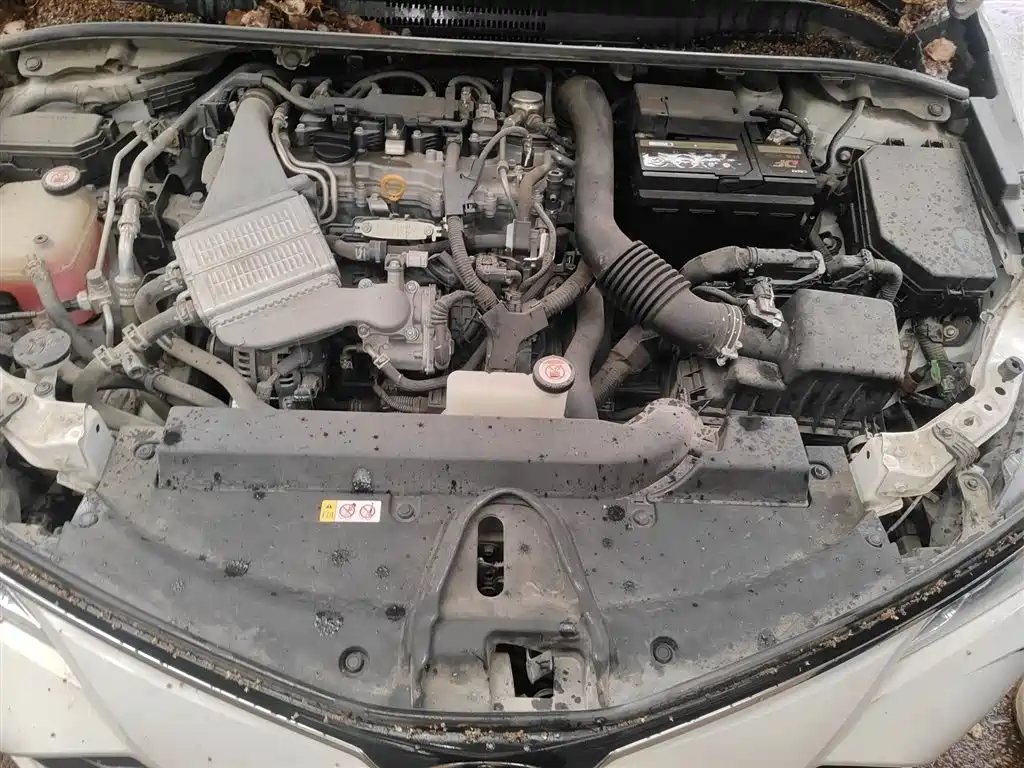 Toyota Corolla 2021 1.2T S-CVT Pioneer Edition фото 11