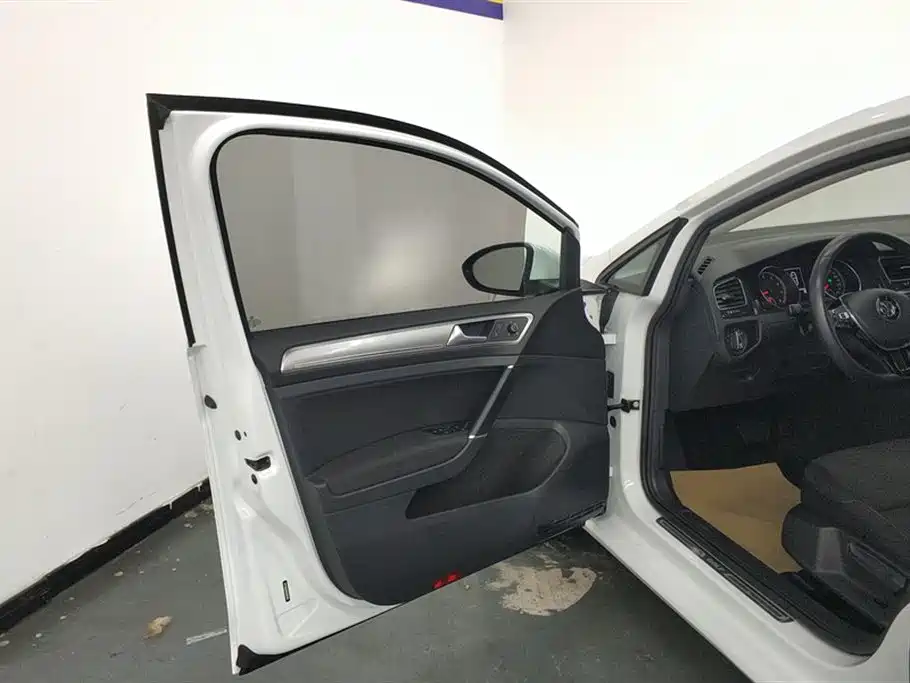 Volkswagen Golf 2019 200TSI DSG Comfort Progressive China VI фото 7