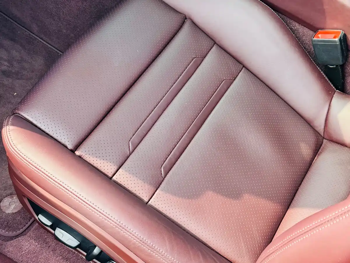 PORSCHE PANAMERA NEW ENERGY