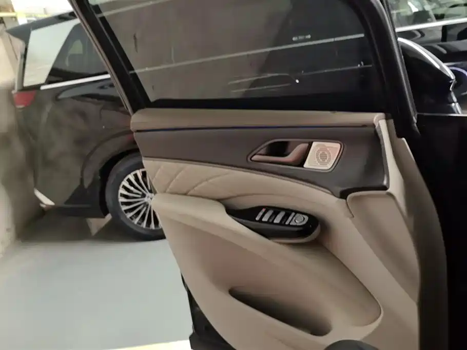 Denza D9 2022 DM-i 970 AWD Flagship фото 7