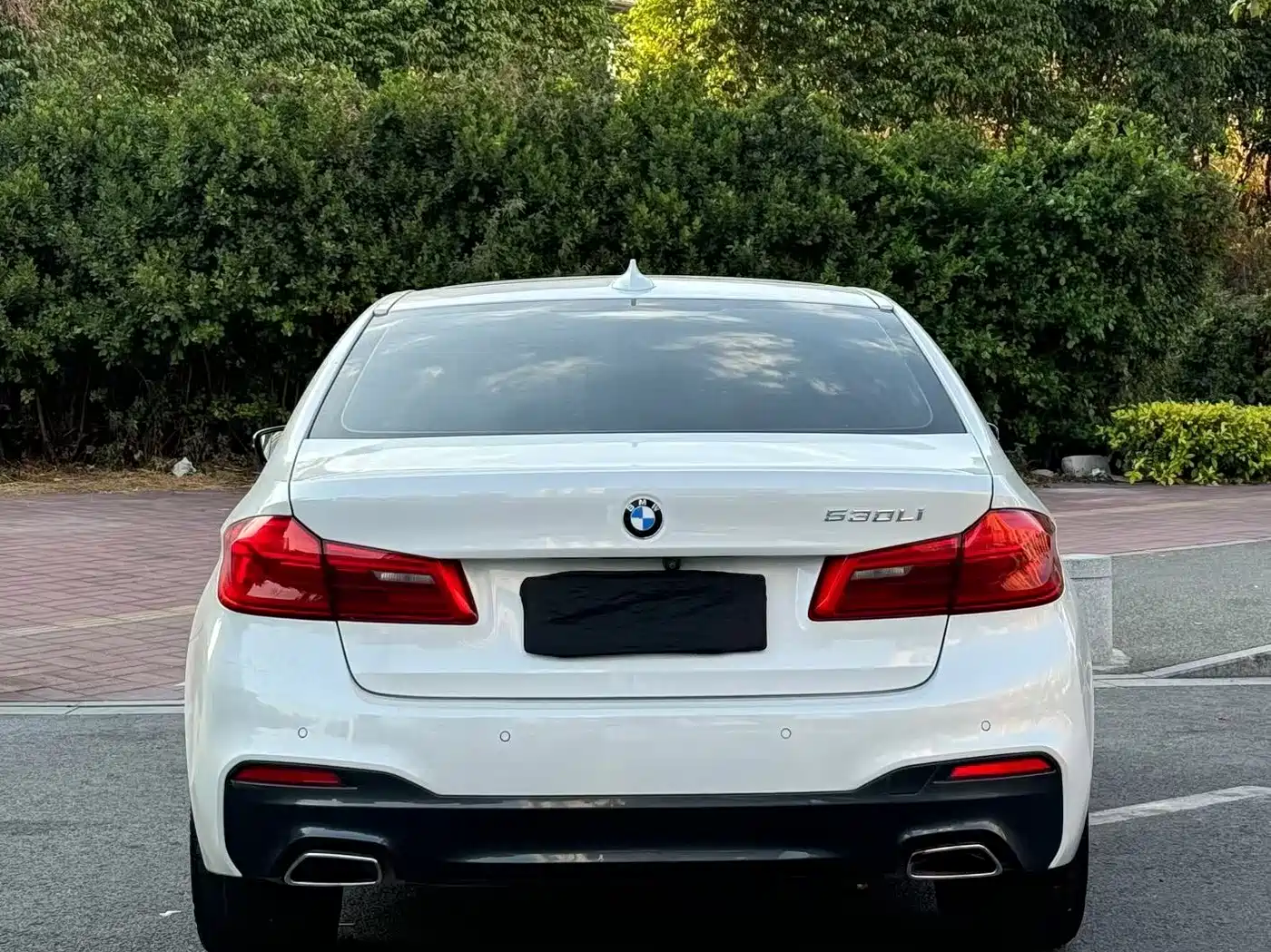 BMW 5 Series 2019 530Li Premium M Sport Package фото 8