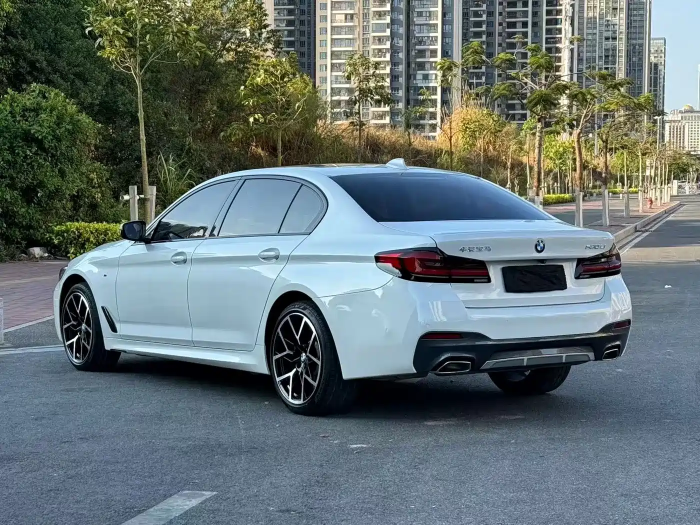 BMW 5 Series 2019 530Li Leading M Sport Package фото 9
