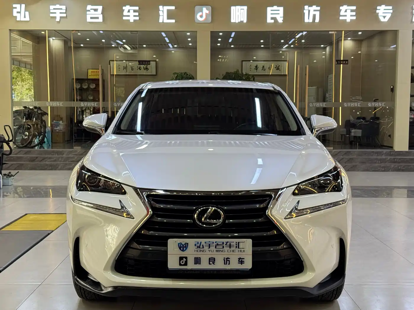 LEXUS NX