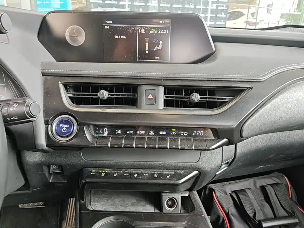 Lexus UX Electric 2021 2020 300e Pure Yue Edition