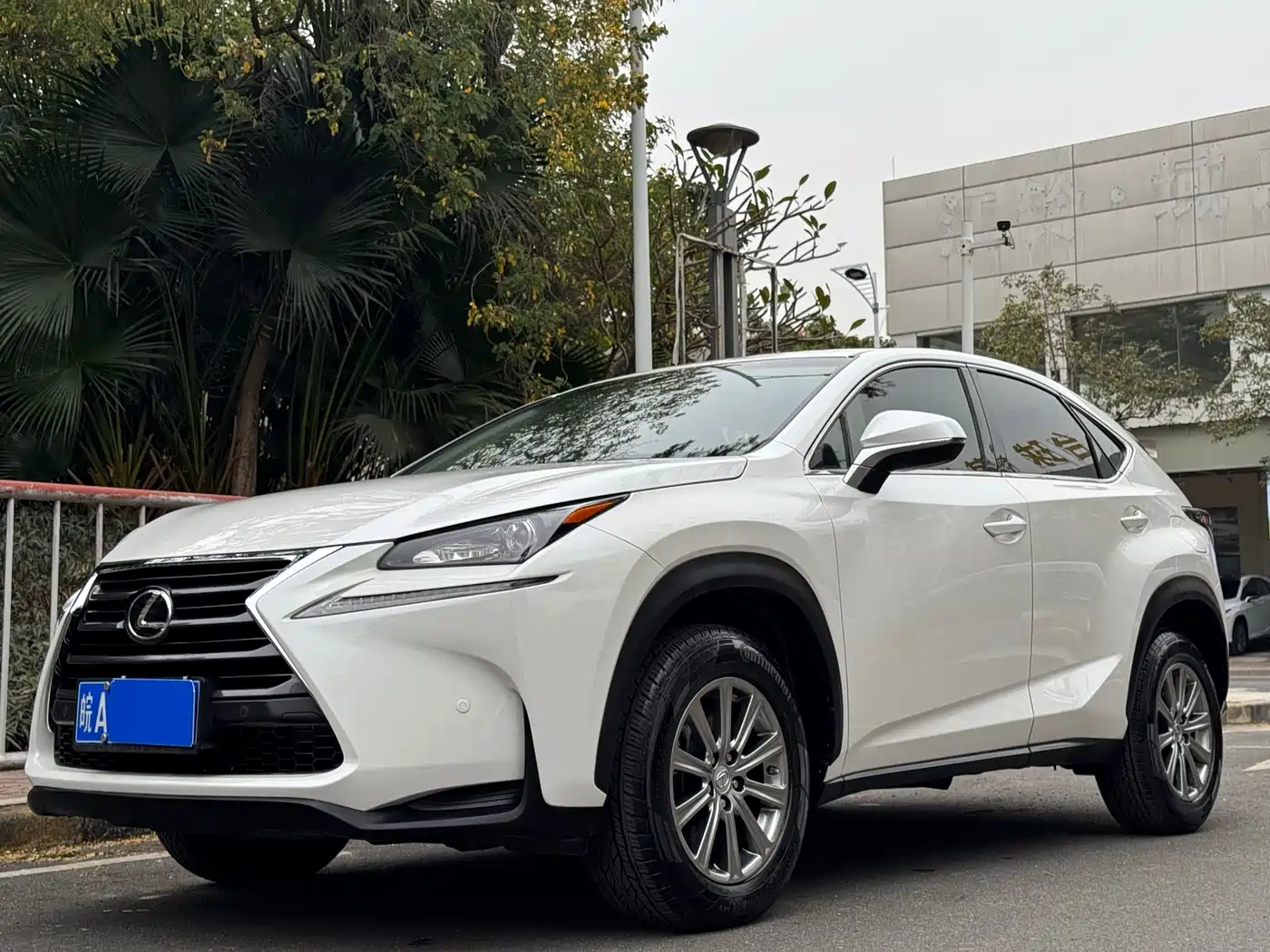 LEXUS NX