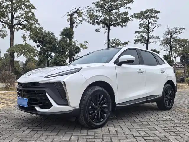 DONGFENG POPULAR T5 EVO