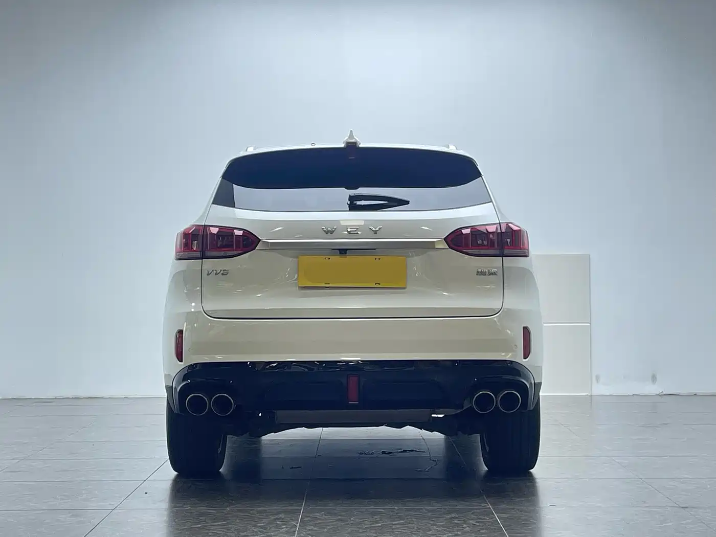 WEI PAI WEI BRAND VV6